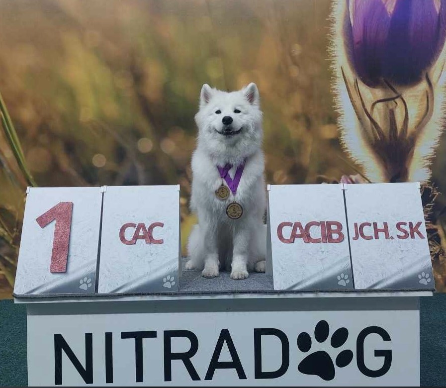 cacibnitra0224