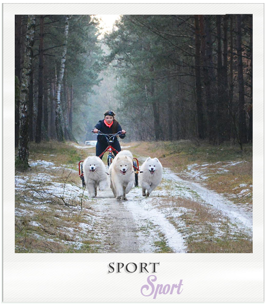 sport