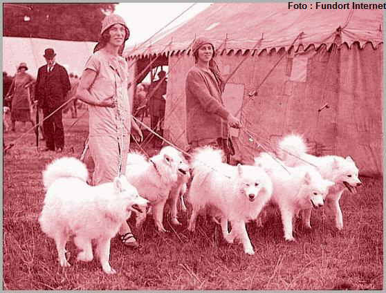 historia11