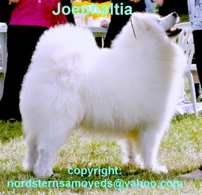 Paarga Joenhaltia