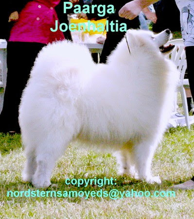 joen1