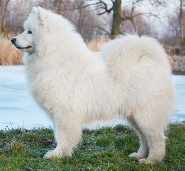 kay