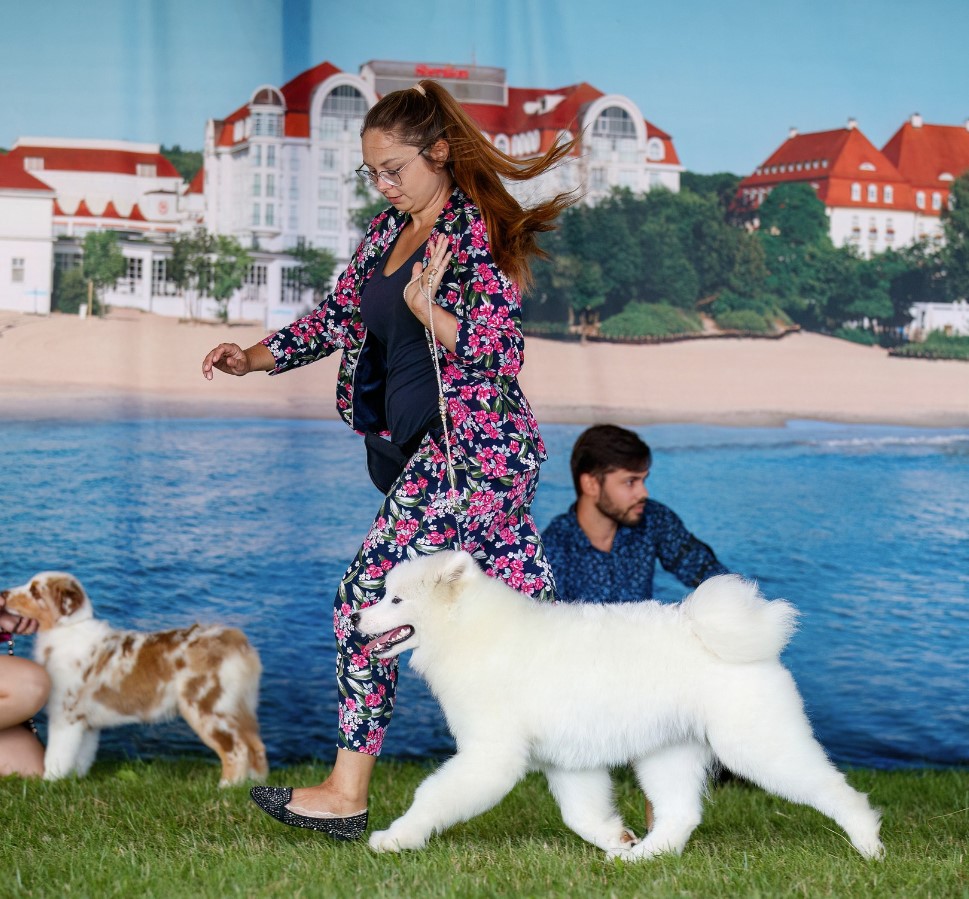 sopot24jach