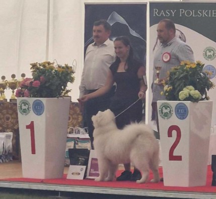 zurichbispup