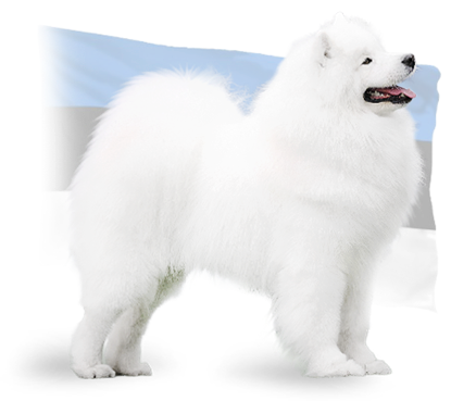  sire hubert1