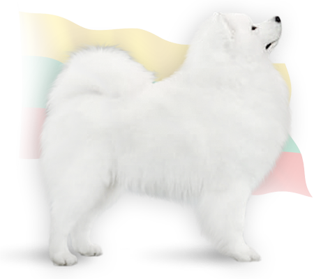sire frano