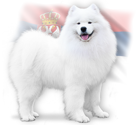 sire furio
